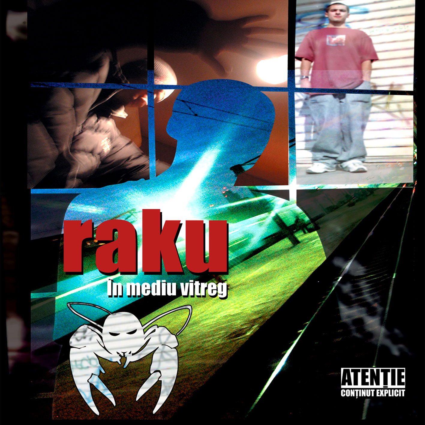 raku in mediu vitreg