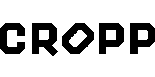 Cropp Romania